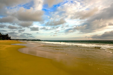 Summer landscape on the sandy shore of the Indian Ocean with palm trees against the sky with clouds. Sri Lanka