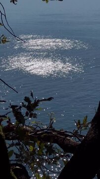 Sunlight sparkles on the sea
