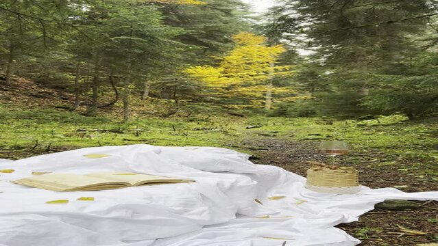 White bed in the autumn forest