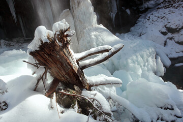 長野県の氷瀑と氷柱