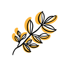 Doodle plant with orange spot