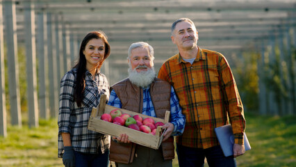 Naklejka premium In front of the camera handsome old man farmer and his son and daughter posing while looking straight to the camera the old man holding the ripe apples in the wooden chest in the middle of a large