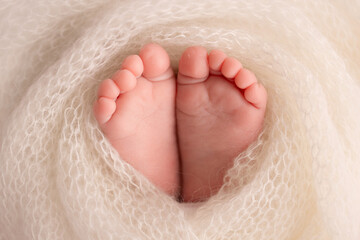 Soft feet of a newborn in a white woolen blanket. Close-up of toes, heels and feet of a newborn baby. The tiny foot of a newborn. Studio Macro photography. Baby feet covered with isolated background. 