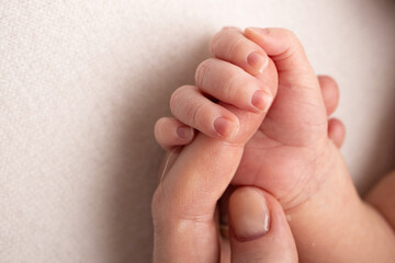 Close-up little hand of child and palm of mother and father. The newborn baby has a firm grip on the parent's finger after birth. A newborn holds on to mom's, dad's finger. 