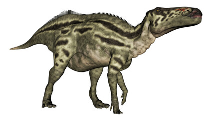 Fototapeta premium Shantungosaurus dinosaur - 3D render