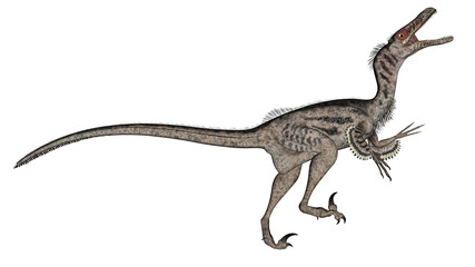 Obraz na płótnie Canvas Velociraptor dinosaur - 3D render
