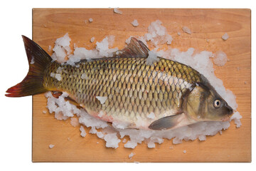 fresh river fish carp, on a cutting board, surrounded by ice and snow, on a white background,...