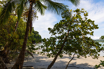 Beach on the coast of the Pacific Ocean in Costa Rica. Manuel Antonio Park