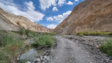 A footpath in Markha Valley