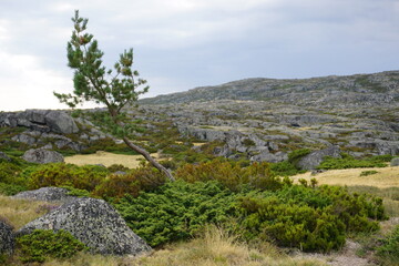 landscape with mountains and sky