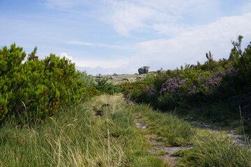 landscape with mountains and sky