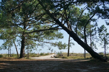 Let's go to the beach