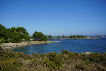 Obraz premium Next to the sea