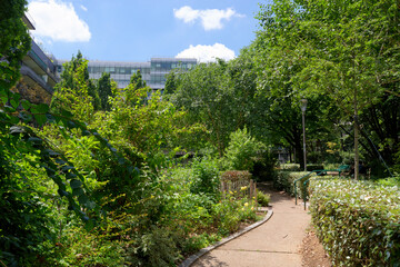 Garden of the Grands Moulins Abbé Pierre in the 13th arrondissement of Paris city - obrazy, fototapety, plakaty