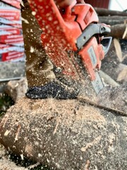 chainsaw on wood