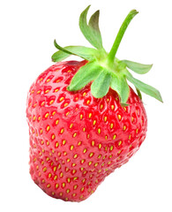 ripe strawberry berry