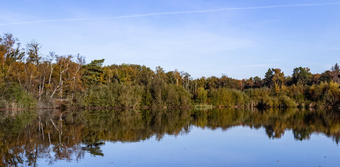 beautiful green landscape with trees in autumn