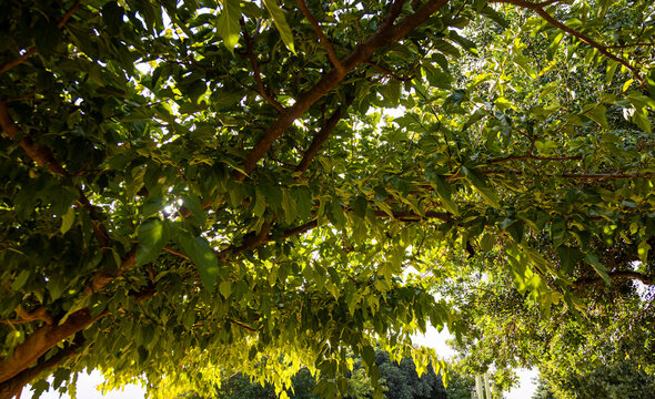 Mirando 이미지 찾아보기 12,598 스톡 사진, 벡터 및 비디오 Adobe Stock