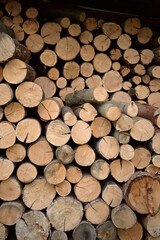 rown logs, firewood for home heating in winter, pine, oak logs, wood, heating in winter, without gas and electricity, preparation for winter to keep warm in winter, even firewood cut and stacked symm
