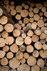 Möbelaufkleber rown logs, firewood for home heating in winter, pine, oak logs, wood, heating in winter, without gas and electricity, preparation for winter to keep warm in winter, even firewood cut and stacked symm © Анна Климчук