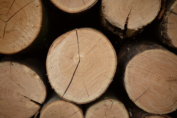 rown logs, firewood for home heating in winter, pine, oak logs, wood, heating in winter, without gas and electricity, preparation for winter to keep warm in winter, even firewood cut and stacked symm