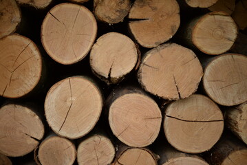 brown logs, firewood for home heating in winter, pine, oak logs, wood, heating in winter, without gas and electricity, preparation for winter to keep warm in winter, even firewood cut and stacked symm