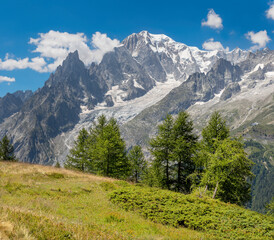 Fototapeta na wymiar The Mont Blanc massif from Val Ferret valley in Italy.