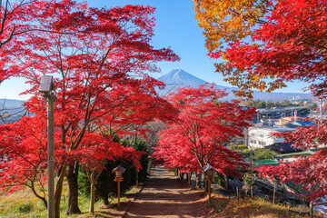 山梨県富士吉田市 紅葉と富士山が見える新倉富士浅間神社の参道
