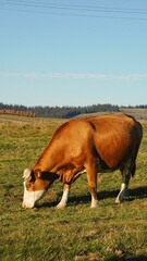                                 Processed with VSCO with a6 preset © Natalia