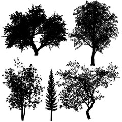 assorted tree silhouettes