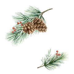 Watercolor vector Christmas arrangement with cones and pine branch.