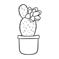 Hand drawn flowering cactus in pot