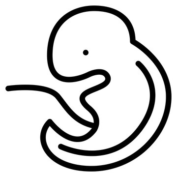 recommend clip art: embryo unborn fertilization pregnancy icon