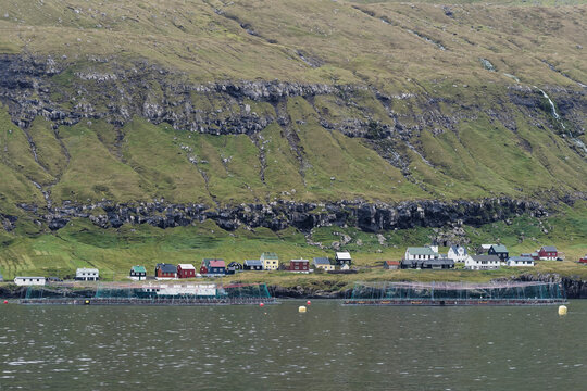 Salmon aquaculture cages in a bay. These cages are within view of a community.