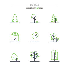 Different trees thin line pixel perfect vector icon set. Outline symbols and emblem of pine trees, park trees and other vegetation. Thin line nature icons. Green color and black lines.