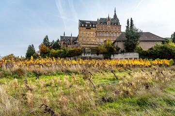 Das Kloster Kalvarienberg in Walporzheim mit Weinreben nach der Flutkatastrophe von 2021 im Herst...