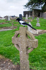 cross in cemetery