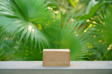 empty wood podium concrete table texture in tropical outdoor nature garden forest green plant golden sunlight jungle background with space.organic healthy natural product present promotion display.
