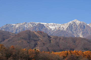snow covered mountains