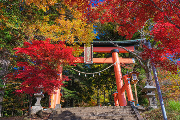 山梨県富士吉田市 紅葉に染まる新倉富士浅間神社の鳥居