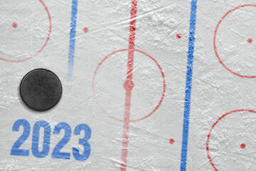 Fragment of the ice arena with markings and a hockey puck