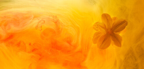 Abstract yellow background with flowers and paints in water. Backdrop for perfume, cosmetic products