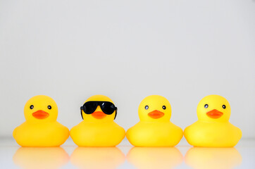 Four yellow rubber ducks in a row, one standing out wearing black sunglasses, organisation concept,...