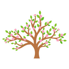 Obraz premium This is a blooming tree on a white background.