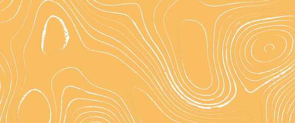 Topographic map, geographic mountain relief. abstract concept graphic element and geography scheme, topographic map and landscape terrain texture grid., abstract colorful topography vector background. © Grave passenger