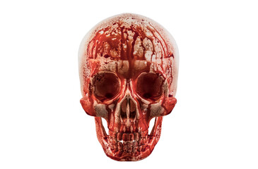 Human skull in blood isolated on white background with clipping path