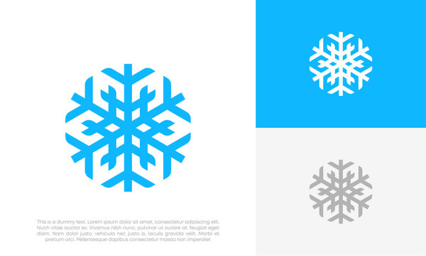 snowflakes logo design vector