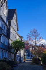 Fototapeta premium Straße mit historischen Häusern und Bäumen in der Altstadt von Siegen
