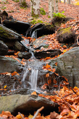 Small waterfall flowing through moss covered rocks and fallen colorful autumn leaves