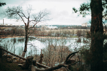 Stoccolma, Svezia. Isoletta di Skansen dove è racchiuso lo stile dell'epoca, i colori, le abitazioni e gli animali.
